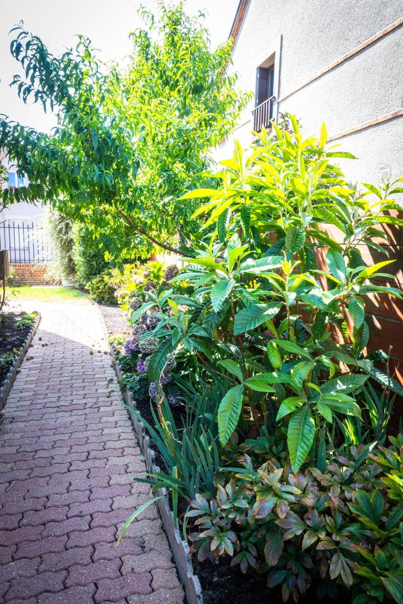 "Le 35" Maison Renovee Avec Jardin Proche Centre Lamotte-Beuvron Zewnętrze zdjęcie